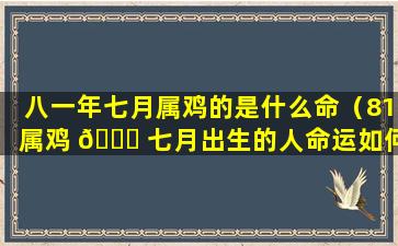 八一年七月属鸡的是什么命（81属鸡 🐝 七月出生的人命运如何）